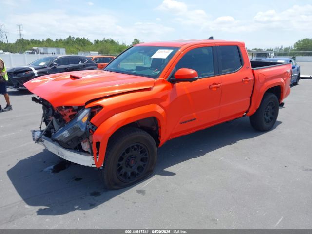 2024 TOYOTA Tacoma image 2