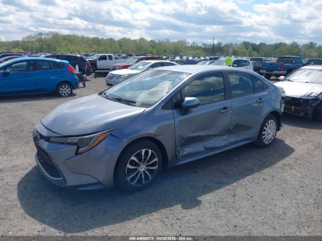 2020 TOYOTA Corolla image 2