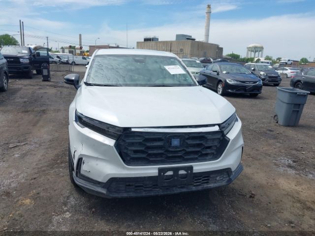 2024 HONDA CR-V image 6