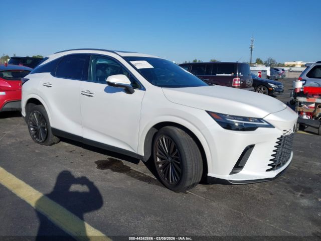 2026 LEXUS RX