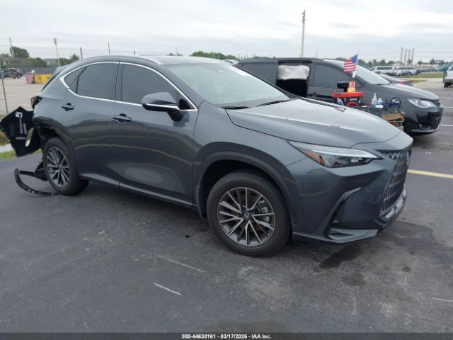 2026 LEXUS NX