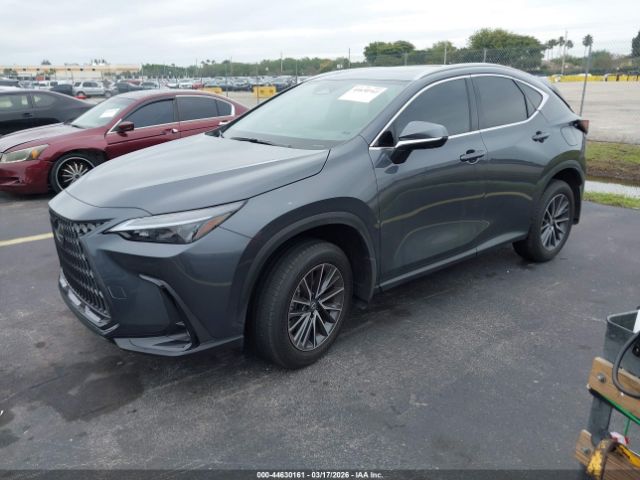 2026 LEXUS NX image 2