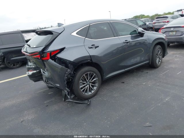 2026 LEXUS NX image 4