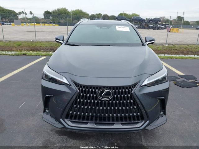 2026 LEXUS NX image 12
