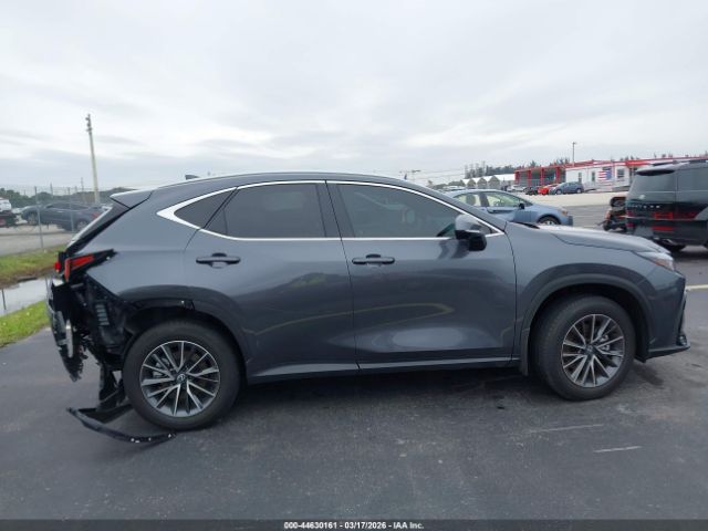 2026 LEXUS NX image 13