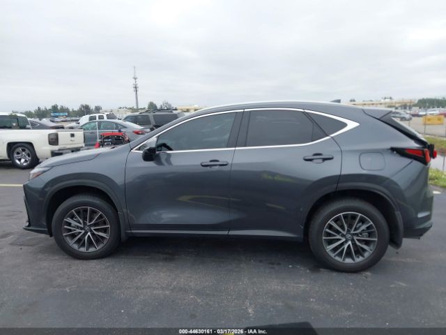 2026 LEXUS NX image 14